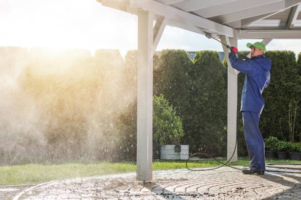 Pre-Holiday Cleaning in Joppatowne, MD