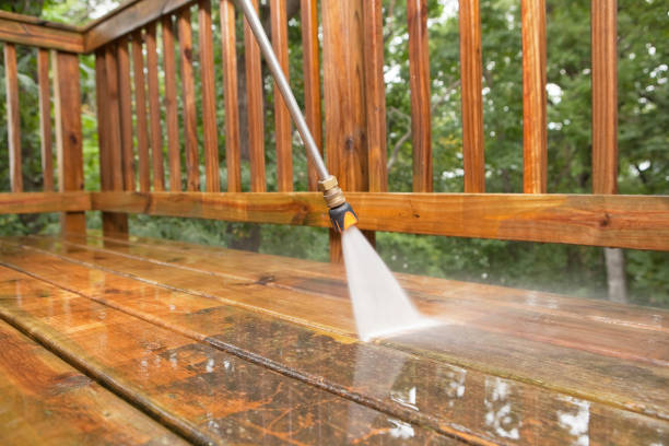 Best Driveway Pressure Washing  in Joppatowne, MD